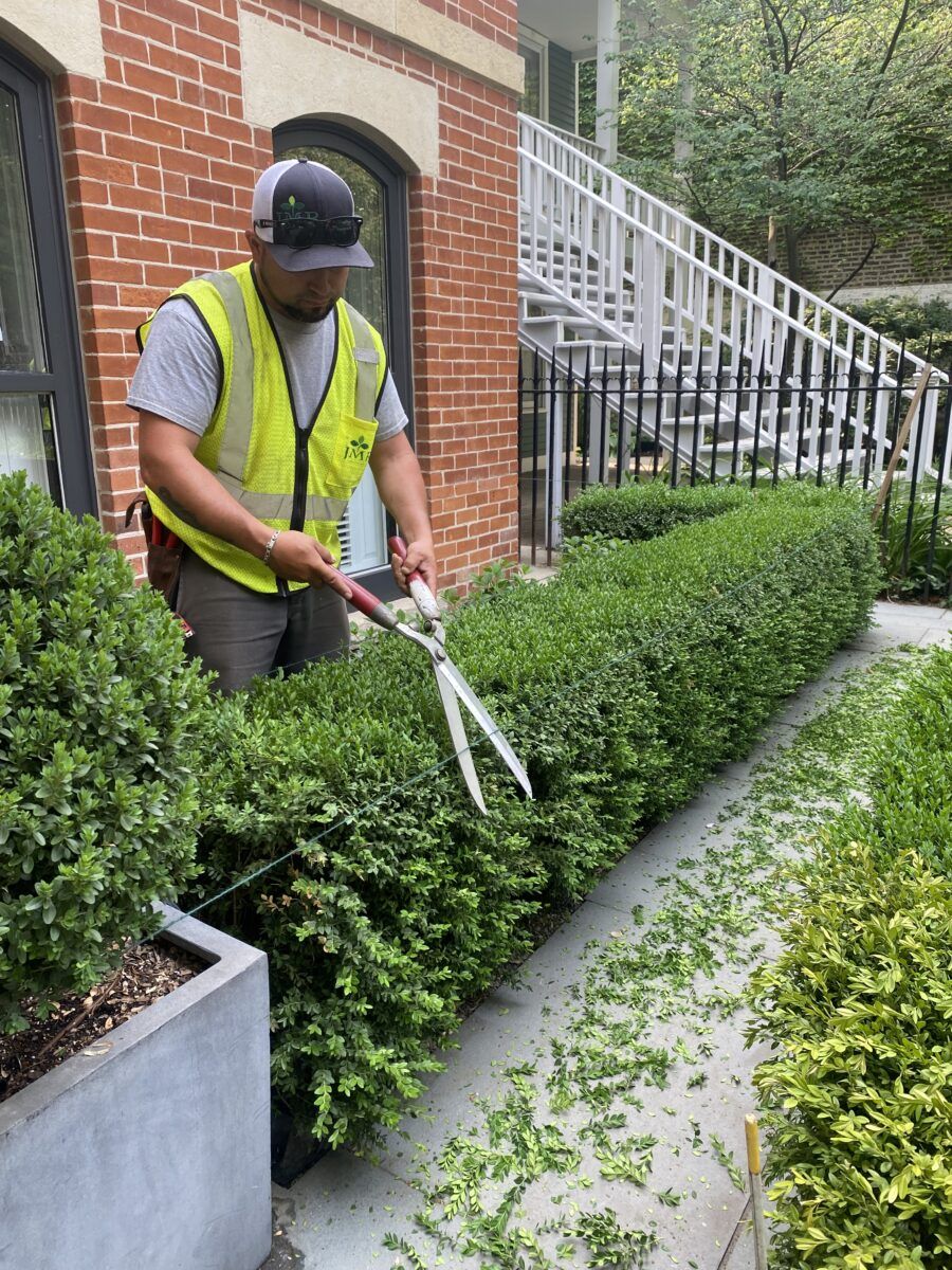 LANDSCAPE MANAGEMENT scaled